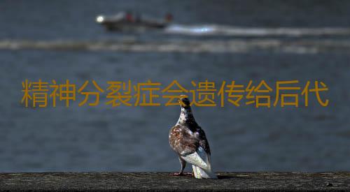 精神分裂症会遗传给后代吗？