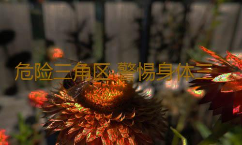 危险三角区 警惕身体三角区出现的问题
