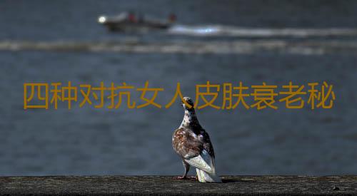 四种对抗女人皮肤衰老秘诀