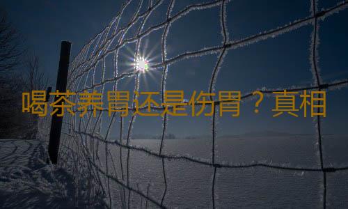 喝茶养胃还是伤胃？真相竟然如此！