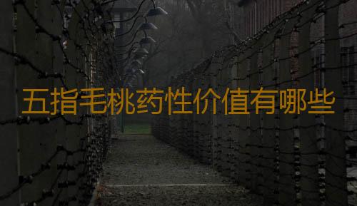 五指毛桃药性价值有哪些呢
