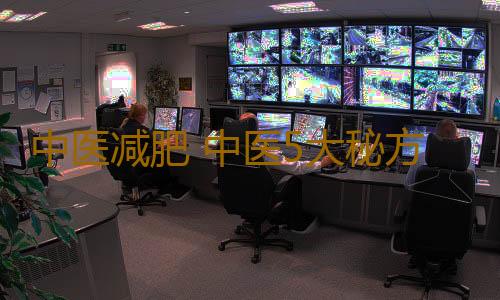中医减肥 中医5大秘方助你减肥成功