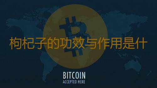 枸杞子的功效与作用是什么 枸杞子储存需置于阴凉干燥处