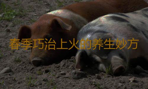 春季巧治上火的养生妙方