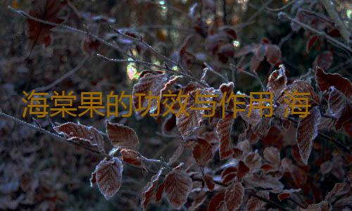 海棠果的功效与作用 海棠果食用禁忌