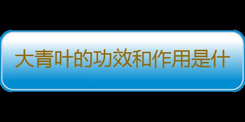 大青叶的功效和作用是什么