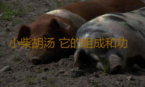 小柴胡汤 它的组成和功效是什么