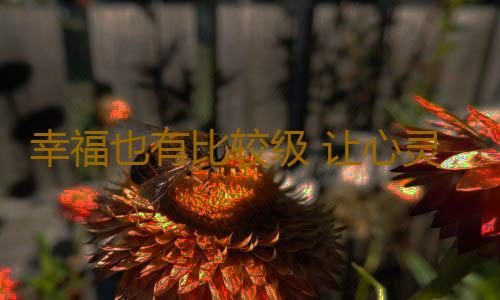 幸福也有比较级 让心灵温暖的22个关键词