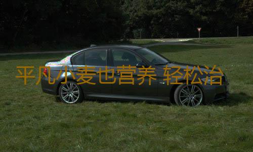 平凡小麦也营养 轻松治疗五种病！