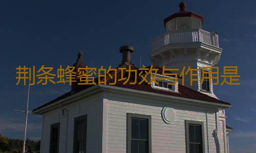 荆条蜂蜜的功效与作用是什么