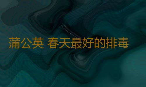 蒲公英 春天最好的排毒草