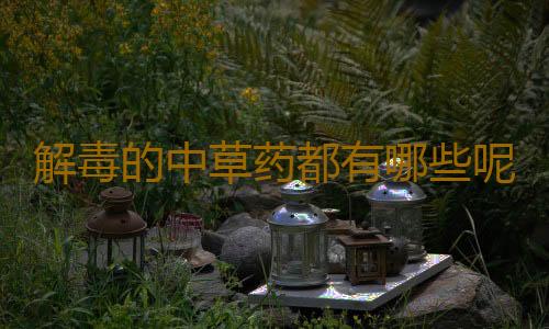 解毒的中草药都有哪些呢